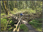 036
