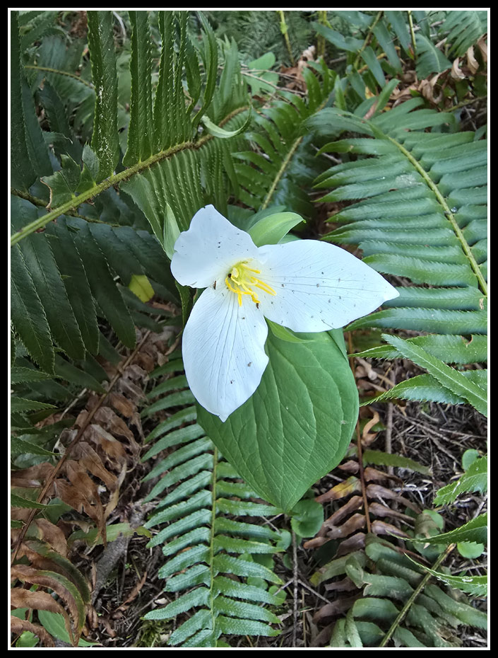 018